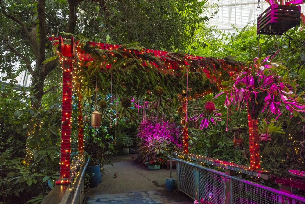 Frost – Cleveland Botanical Garden